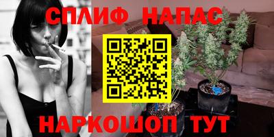 мяу мяу мука Азнакаево