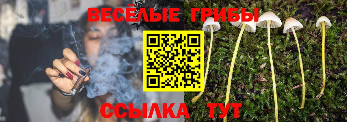 Апатиты  Галлюциногенные грибы прущие грибы  Вход с VPN  Псилоцибиновые грибы MAGIC MUSHROOMS 
